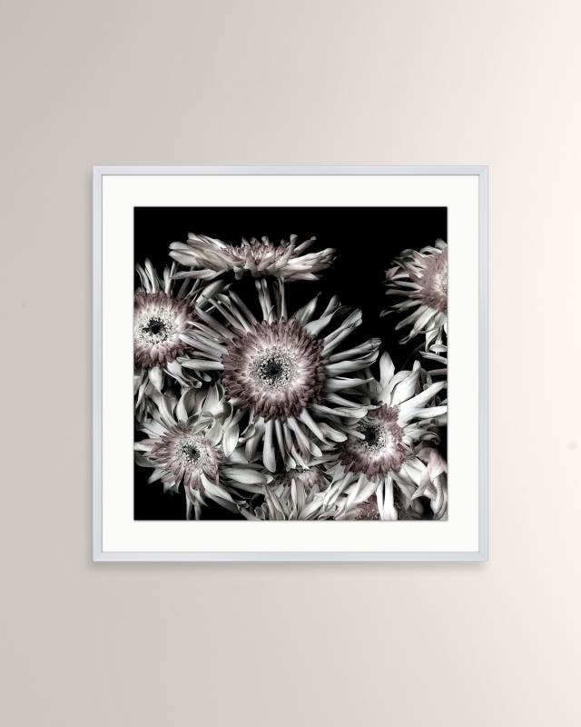 "Floral on Black 1" Giclee Print